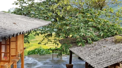 Hmong Sister House and Trekking – 照片 15